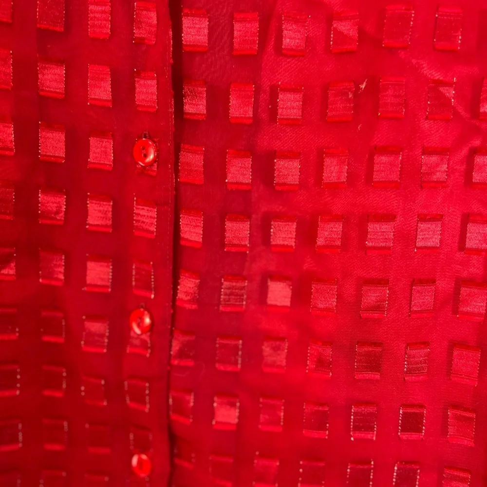 Alia Red Sheer Blouse - Picture 5 of 11